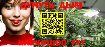 прущие крисы Гатчина