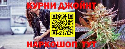 прущие крисы Гатчина