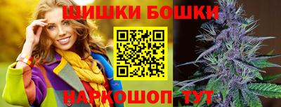 прущие крисы Гатчина