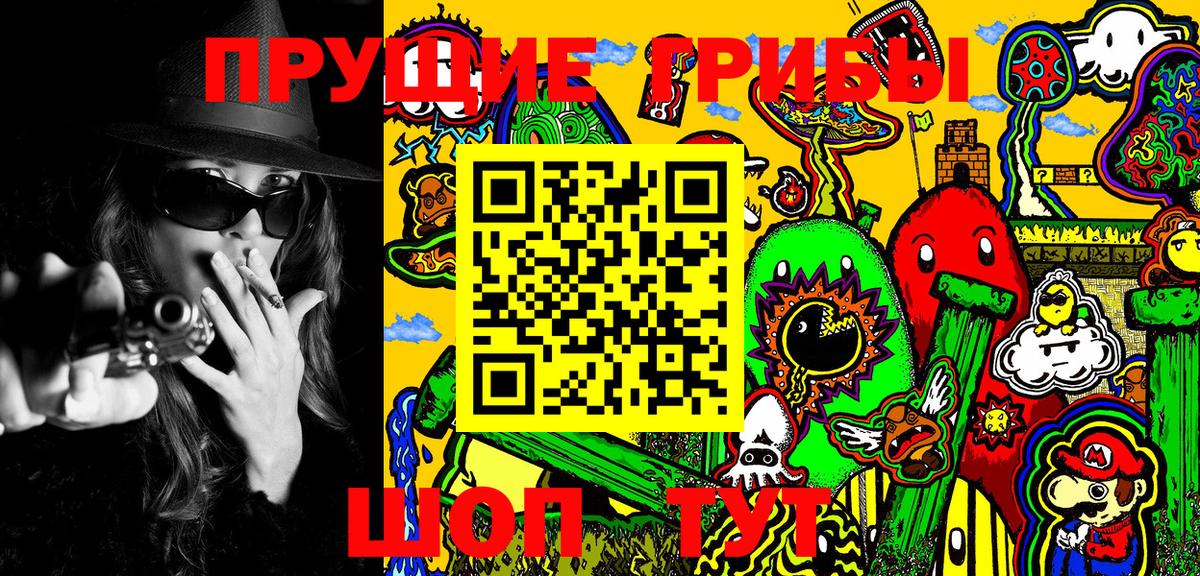 Галлюциногенные грибы Psilocybe  купить наркотик  Заречный 