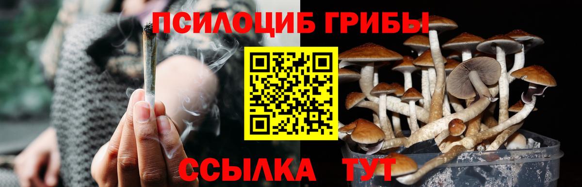 Галлюциногенные грибы мицелий Заречный
