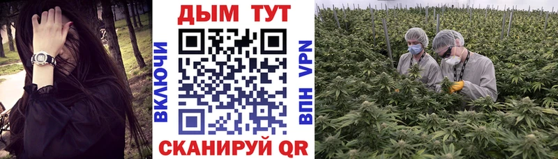 даркнет Telegram  Заречный  Канабис конопля 