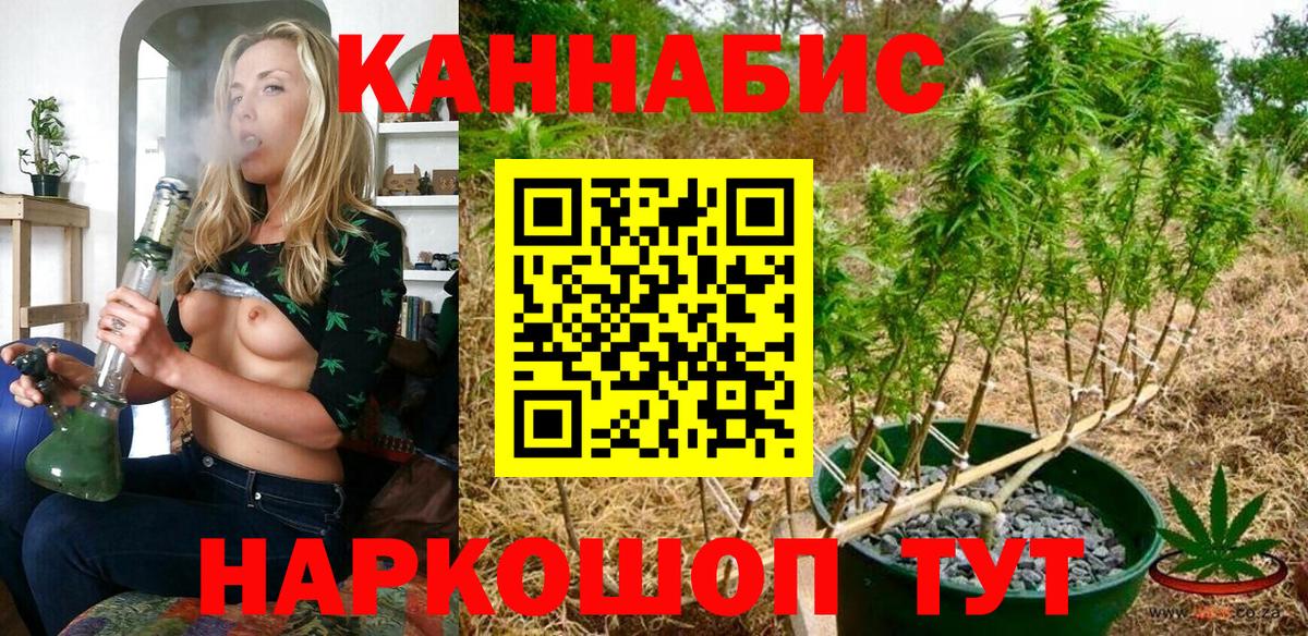 Марихуана конопля  Заречный  МАРИХУАНА ГИДРОПОН  Марихуана White Widow  Бошки марихуана SATIVA & INDICA 